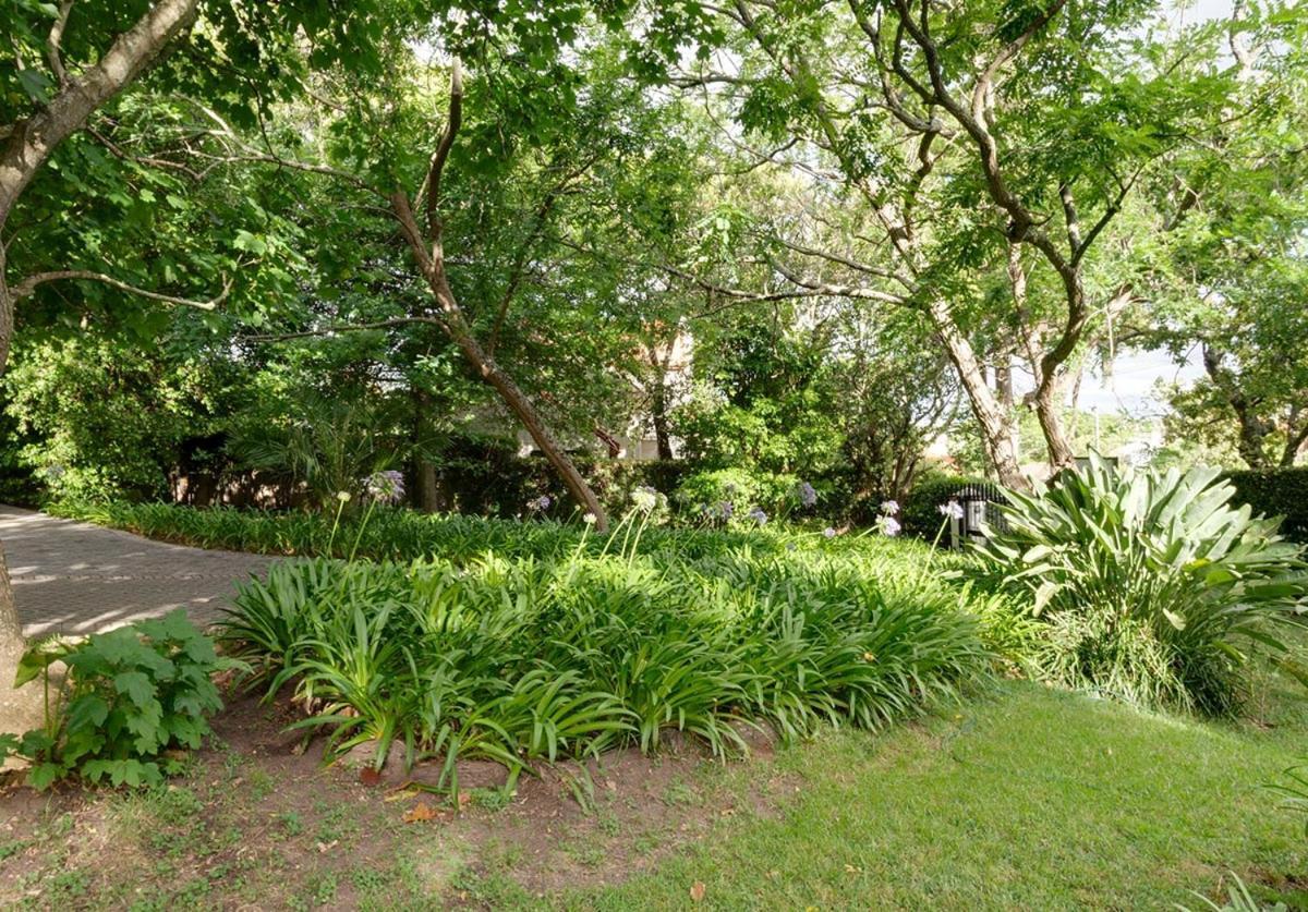 فندق كيب تاونفي  Kolbe House المظهر الخارجي الصورة